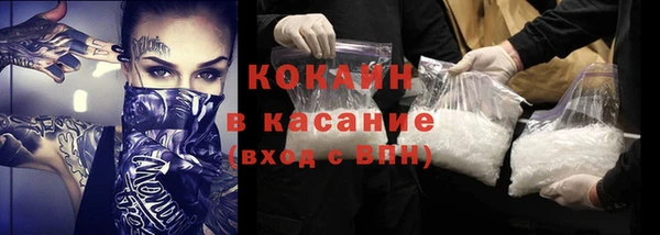 сатива Баксан