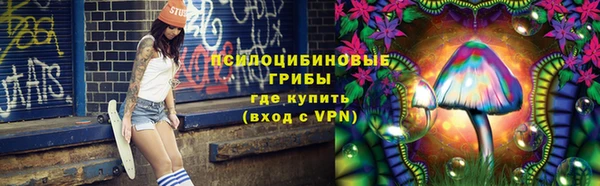 сатива Баксан