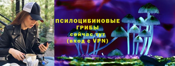 сатива Баксан